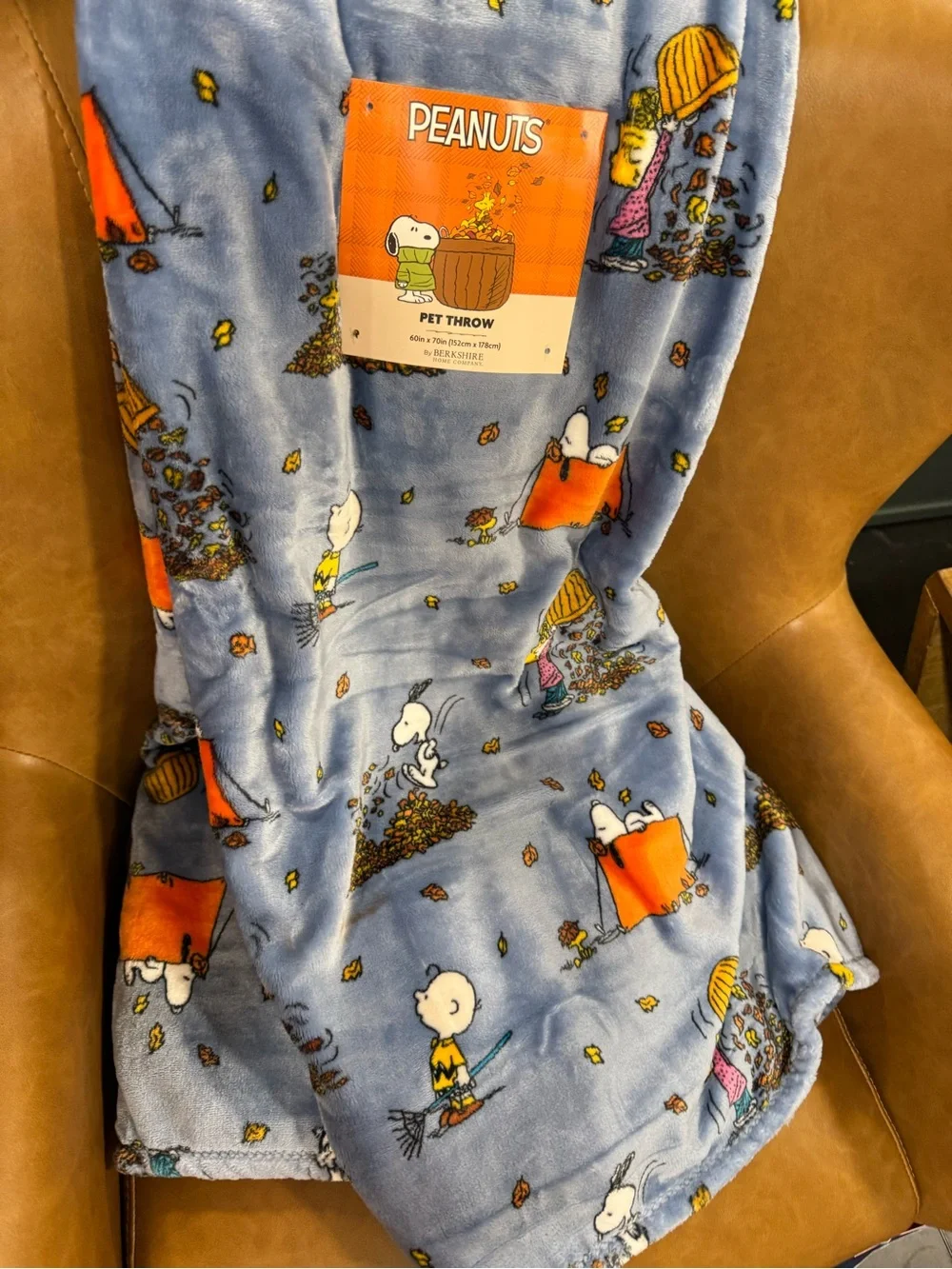 Peanuts Light Blue Snoopy & Charlie Brown Fall Throw